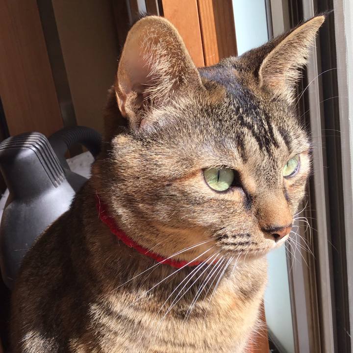 0ab4491e 1040 4376 b245 655d08e6b6f9 1678164820401