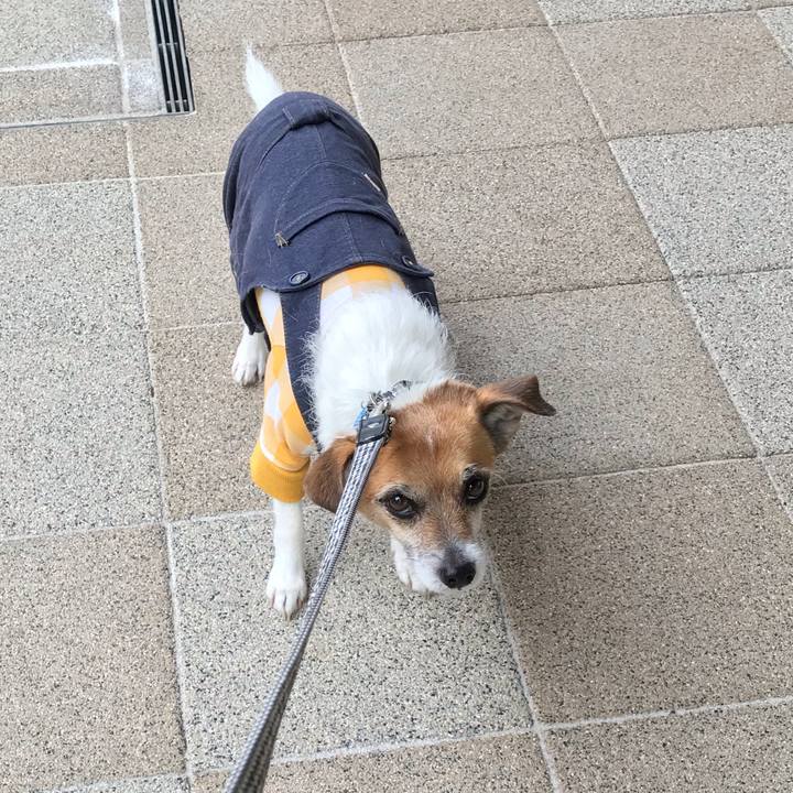 0ab48c18 56c6 4201 8e77 9cf0102a9098 1552956873178