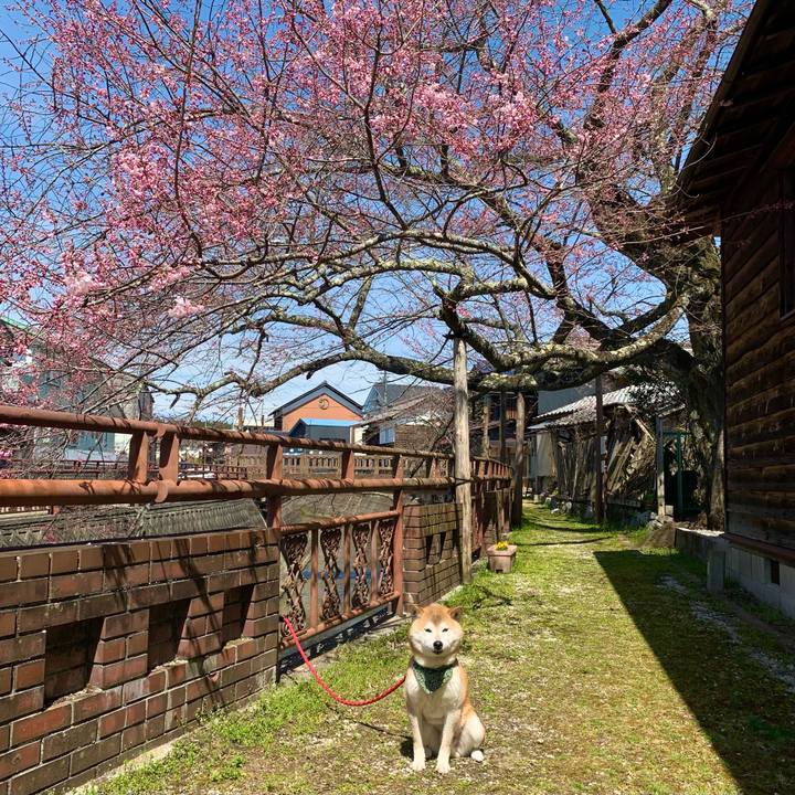 0ab4d274 bd57 4e5f 9a5d 4ed6da6c49db 1648802821126