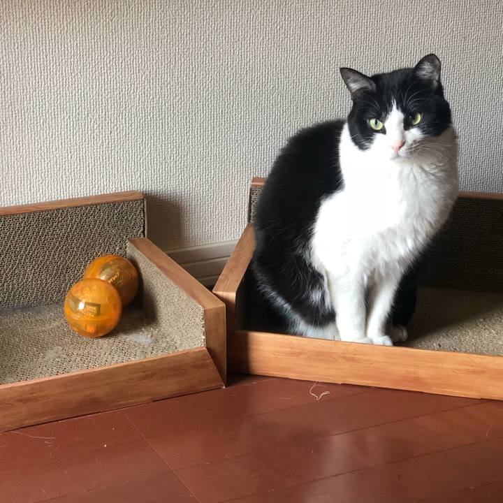 0ab505b1 30c5 48ed 921f 0ce965ef6dbf 1552537964827