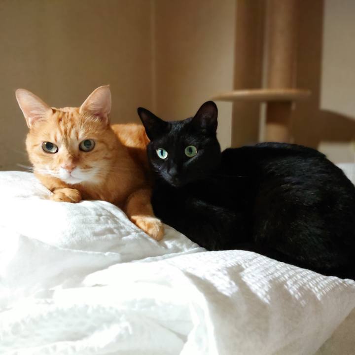 0ab55ed6 ba9c 48f8 a225 89b864eec44e 1601297407864