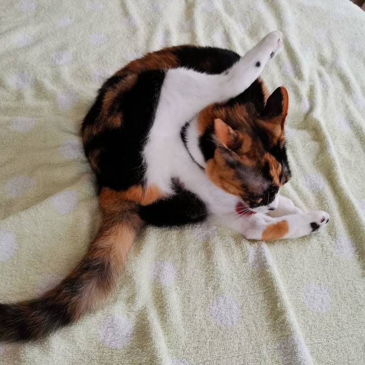 0ab56ac2 eef0 4023 871d a7dc0661d50e 1664251121691