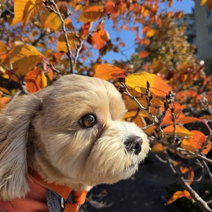 0ab5a5dc 5a17 4bf5 800c 33ca96c8efd2 1763349658710