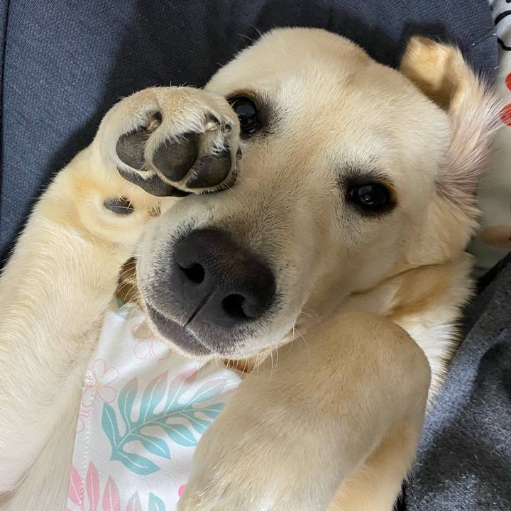 0ab611b2 8697 4c29 980c 8f8e1fcd1bea 1619708320316