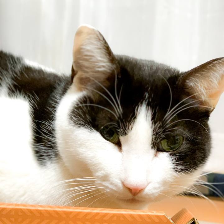 0ab624ea b0dc 4b1e a7a2 9595c02872d5 1583544891807