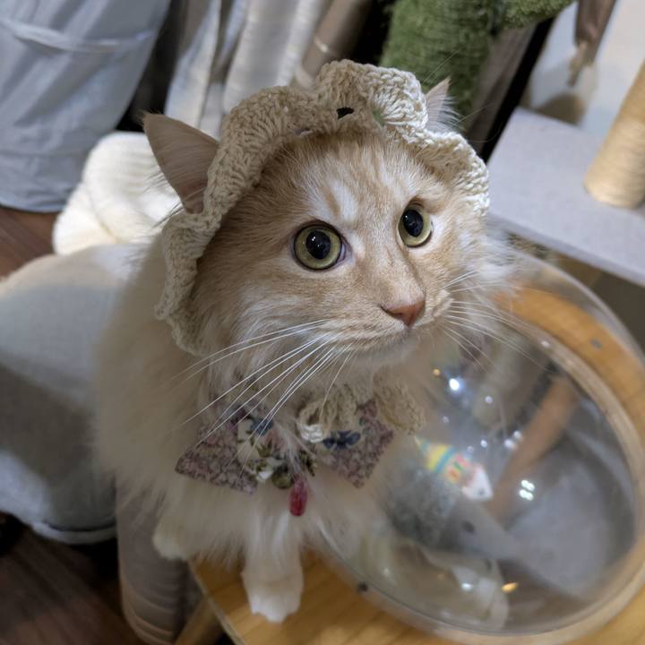 0ab62754 83f1 48c2 9186 0c9c01e80ae6 1774787629246