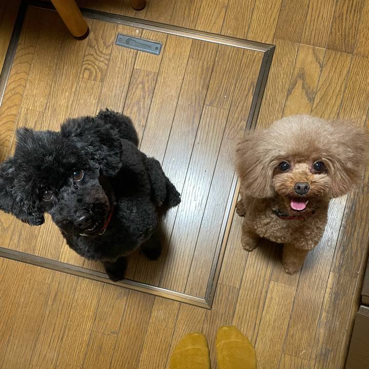 0ab64674 bffc 404e b72b 2d3f861eba02 1635050203473