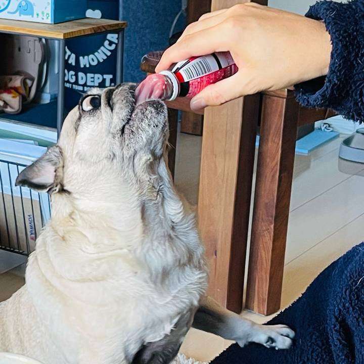 0ab6a2ec ae75 4993 b81d 2fddb620b340 1769479710231