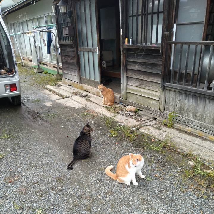 0ab6a5b3 abb6 48e9 bb76 6b67b6a389b8 1759133292625