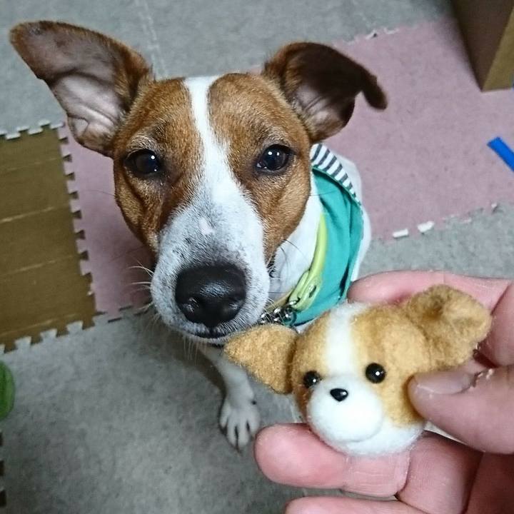 0ab6babe 7a27 4985 8170 cc4c9b6f2ef0 1555914910283