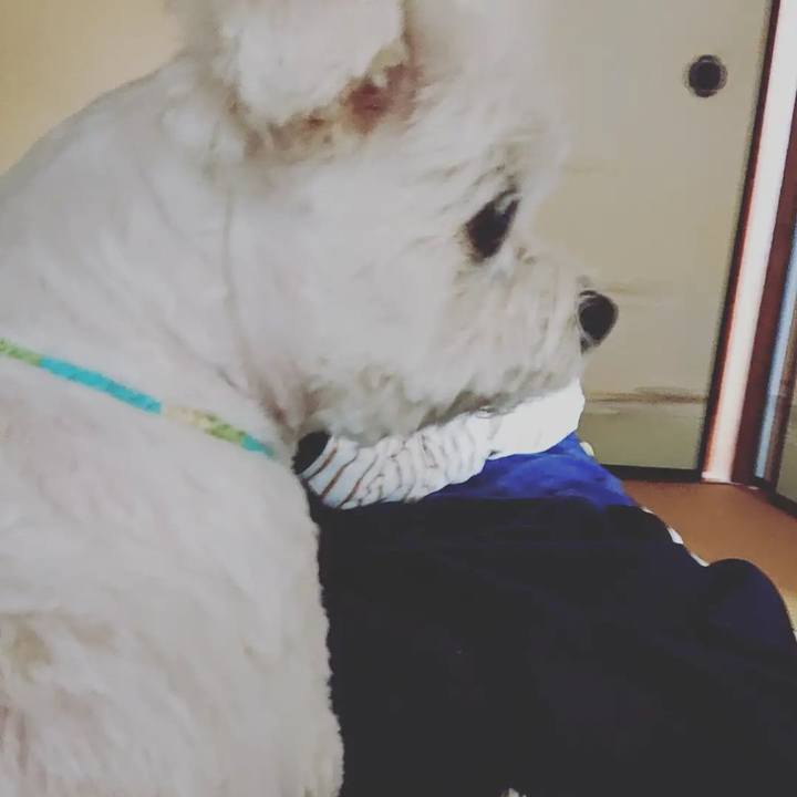 0ab6e5a2 fae0 4bf8 a1b1 c02ad1999530 1632899365704