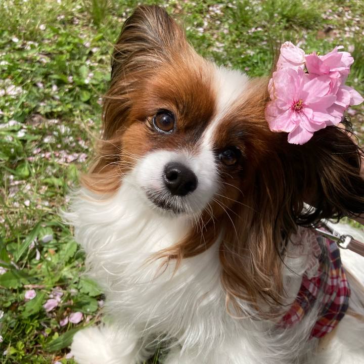 0ab6ee1c 71c5 420a bada d24d686680ce 1683180523702