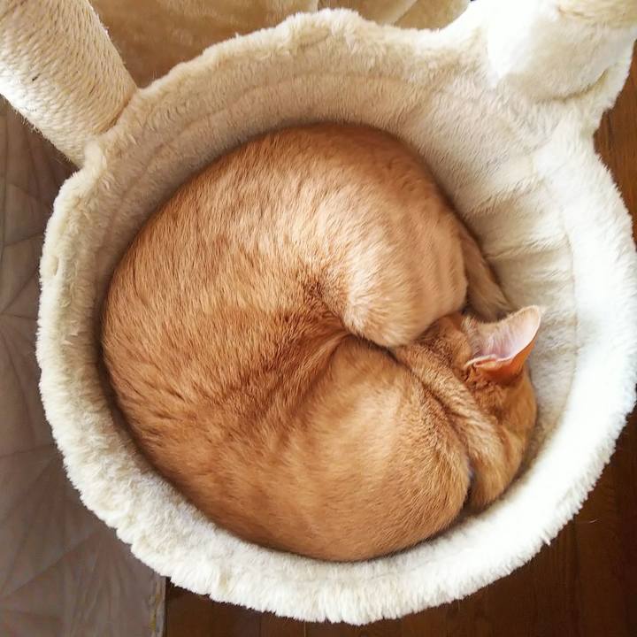 0ab6f0d6 5324 4a98 8451 1c87cee6f6f4 1621659677981