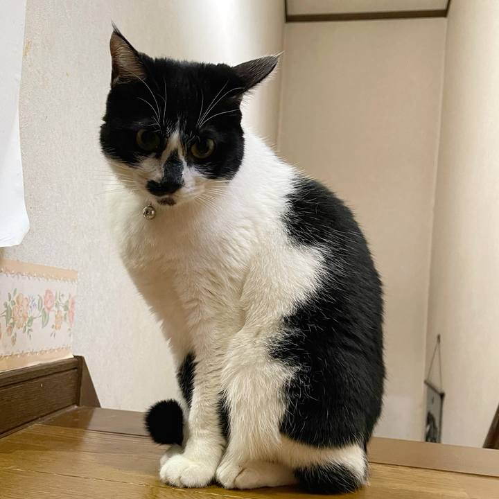 0ab7066b a1ed 40a3 8d45 7c70be04d3fa 1769831314974