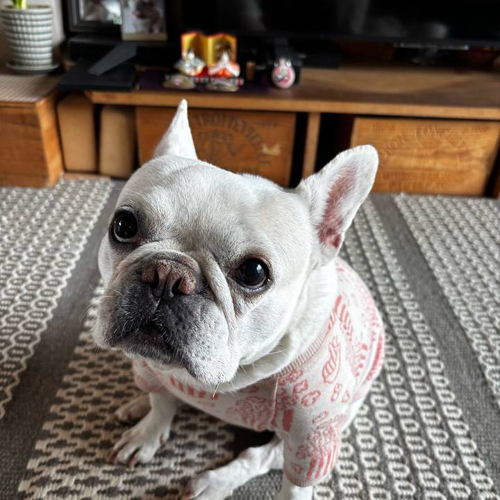 0ab74308 edbf 4be7 851f 3062513cabfc 1772491486074