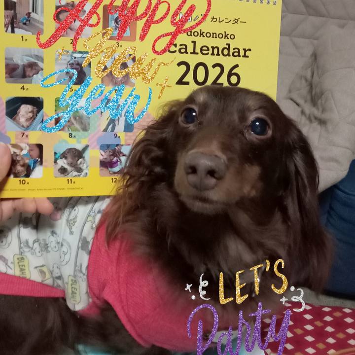 0ab815ff 7c5d 4280 a65c aa6c98b6de57 1767218175034