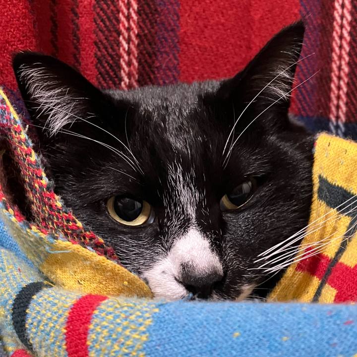 0ab82cce a68c 4c63 98b1 6bfde0f57d9d 1746510913502