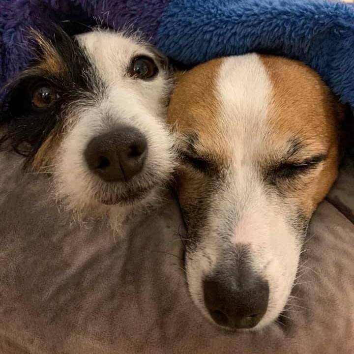 0ab83e36 71fd 41c0 9e6e 55fac9790f31 1677839185102