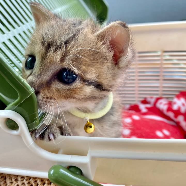 0ab858da 5199 4298 9d9e e87f4fd945ab 1619822526750