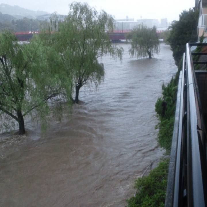 0ab8a245 53b9 4e3a 9268 d65ca5b291e8 1658640454307