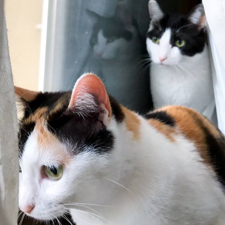 0ab8a9dc 2aa9 4645 8b69 8d8ac0f04f43 1525875719004