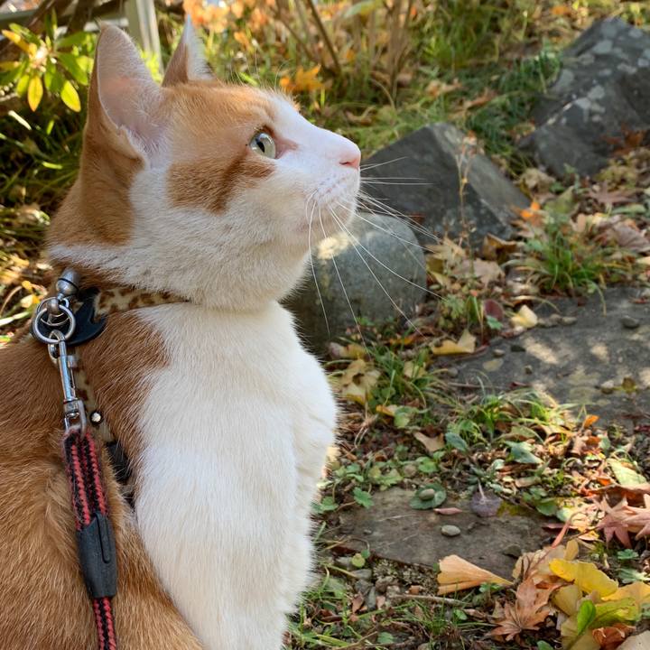 0ab8aadf c591 4181 82d2 ffc3f7949b68 1605756179230