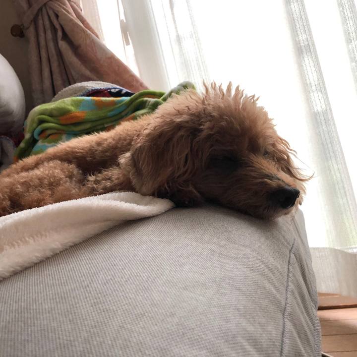 0ab8bab5 c6c4 439b 8f9f 902342b3f97b 1596941860477