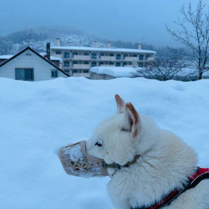 0ab8cea6 3062 4125 a1b3 f9cb772f22ec 1770761907360