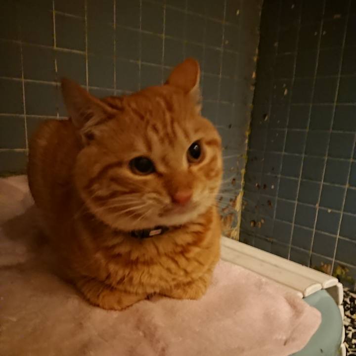 0ab8f202 95eb 4a9a 9c0c 7fbbbb71e5d5 1641293559207