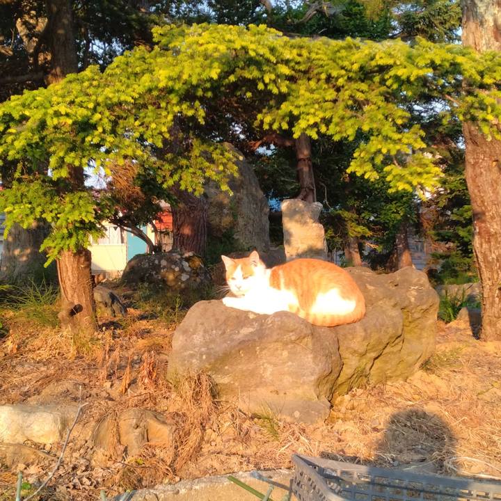 0ab90729 e39b 48e0 b443 53be294c09fc 1749420605883