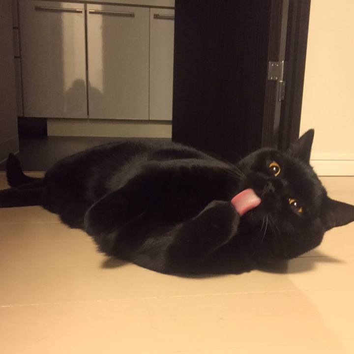 0ab90b5f c6ff 46a6 88b3 b1ea89e093fa 1586957418659