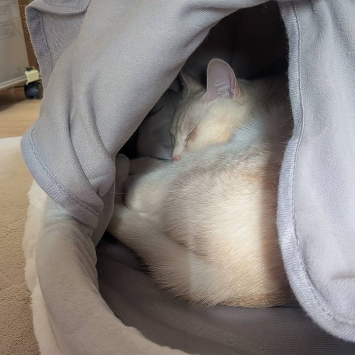 0ab93d7b de21 4335 939a 83b6b662c132 1769304929416