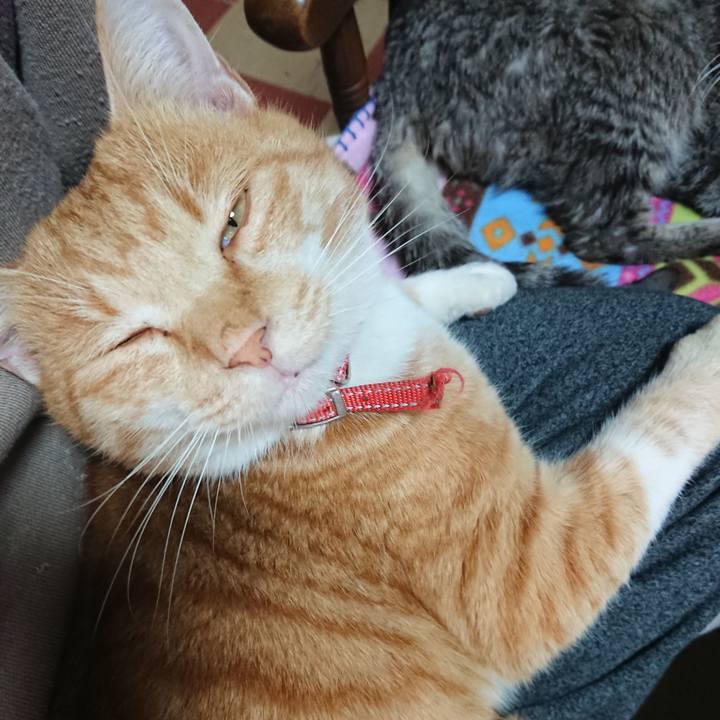 0ab9443c 28e8 4cd7 9e47 189529405aa5 1575166910294