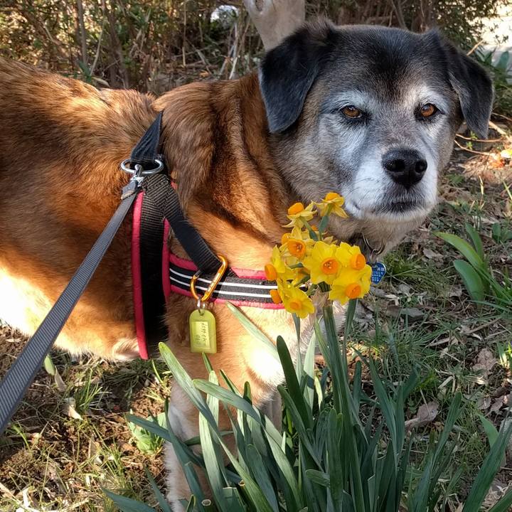 0ab94d64 afda 4a16 9f50 bb3414cc5c54 1553037987850