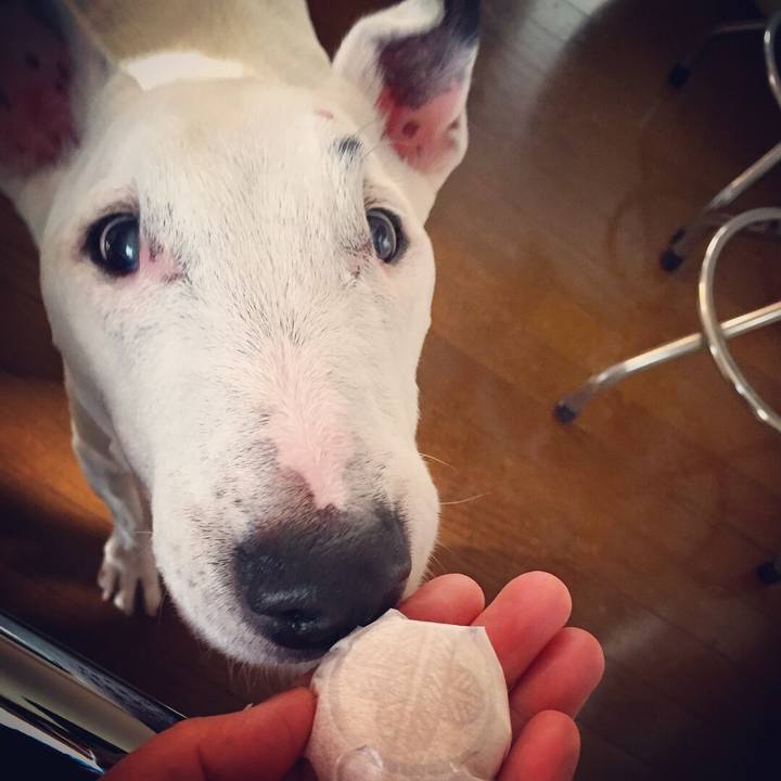 0ab95cb1 d25a 4f00 a704 bb99fa7c3f18 1508915593204