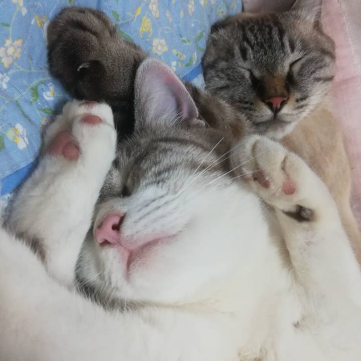 0ab98738 8170 4c30 bbc4 10d519c1a3eb 1600004617723