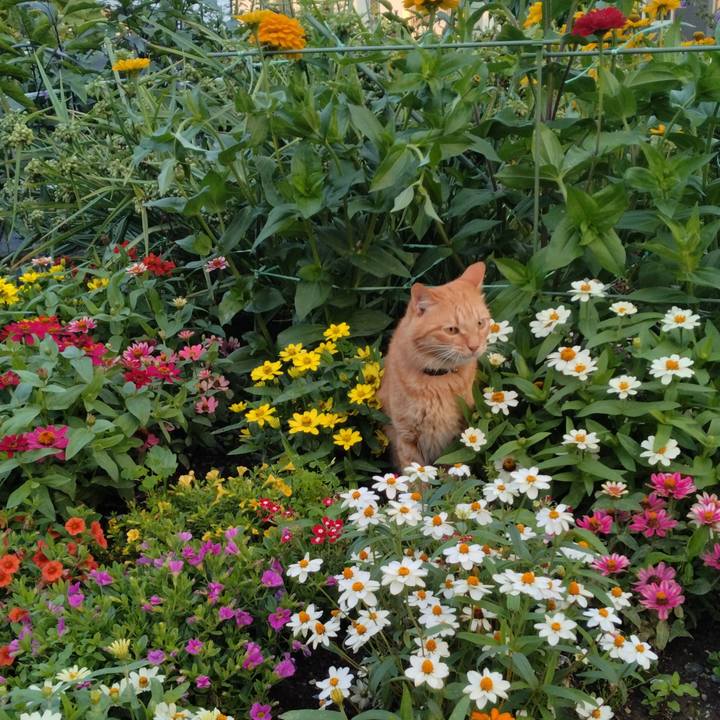 0ab98dfe 85be 42e3 b8db e59449c282b0 1720780464305