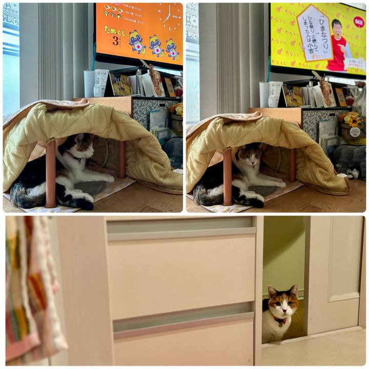 0ab9e71e 9463 44a5 8e1c d0b87103abe5 1708899004119