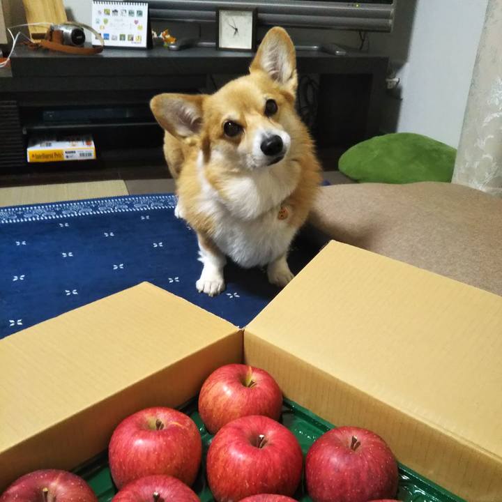 0ab9f44c 1920 4b69 a500 5068a0d788ff 1576232704519