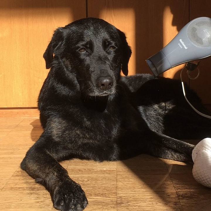 0aba3210 42f0 44df 9588 f11b69130ecb 1606093930724