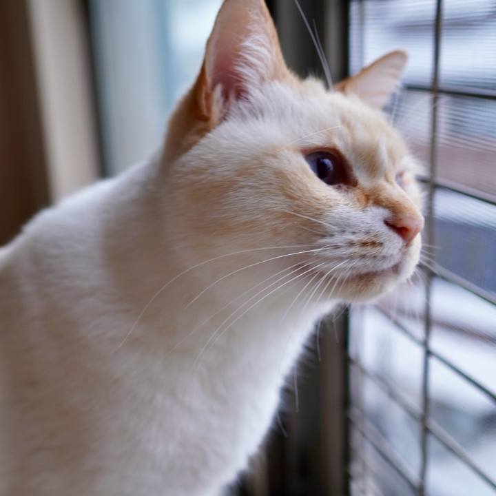 0aba4b2c 6b2e 40a5 8298 cc4212a92c0f 1769309904056