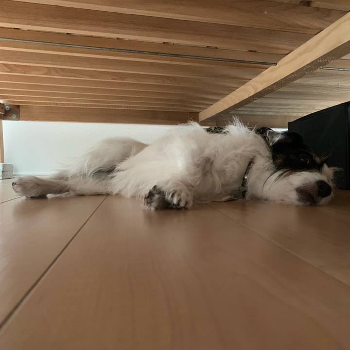 0aba55dc 1504 400d aa8f 5f89661811f9 1694742014678