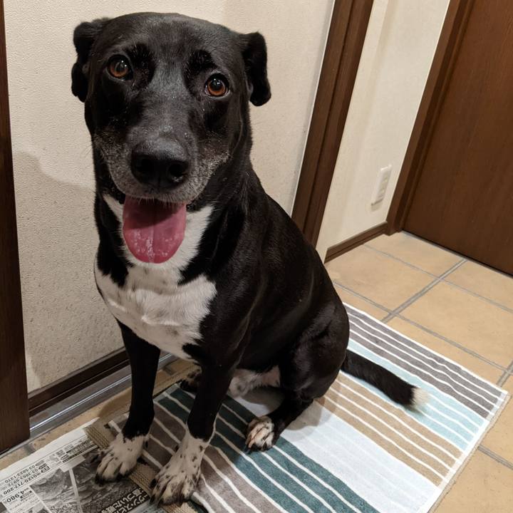 0aba7508 d54a 4e63 be05 3dbd07b16fb7 1661685297282