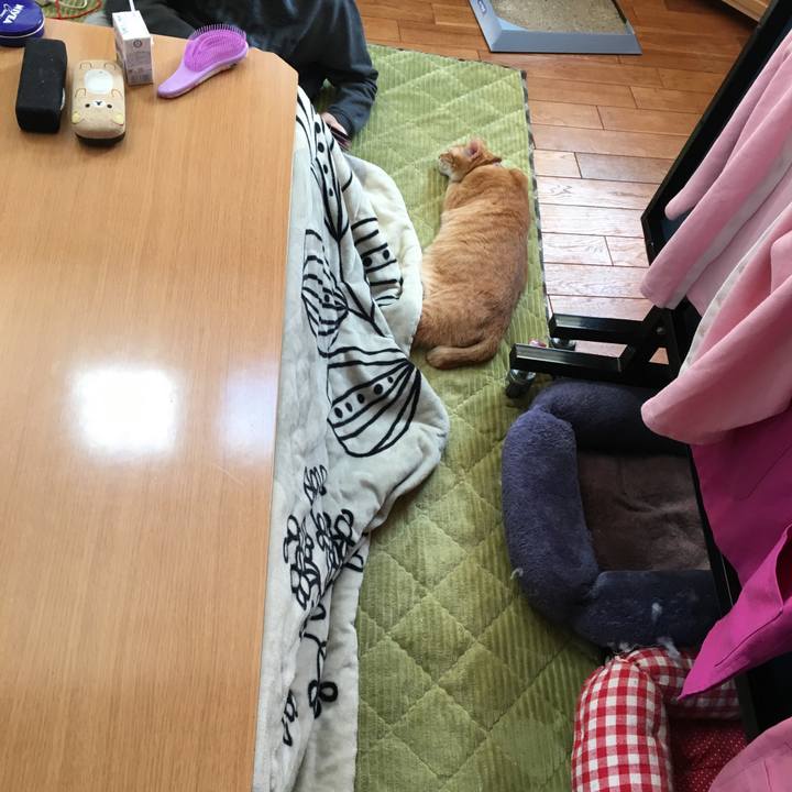 0aba786e 467a 4440 927c 701d0c908dfc 1553350033035