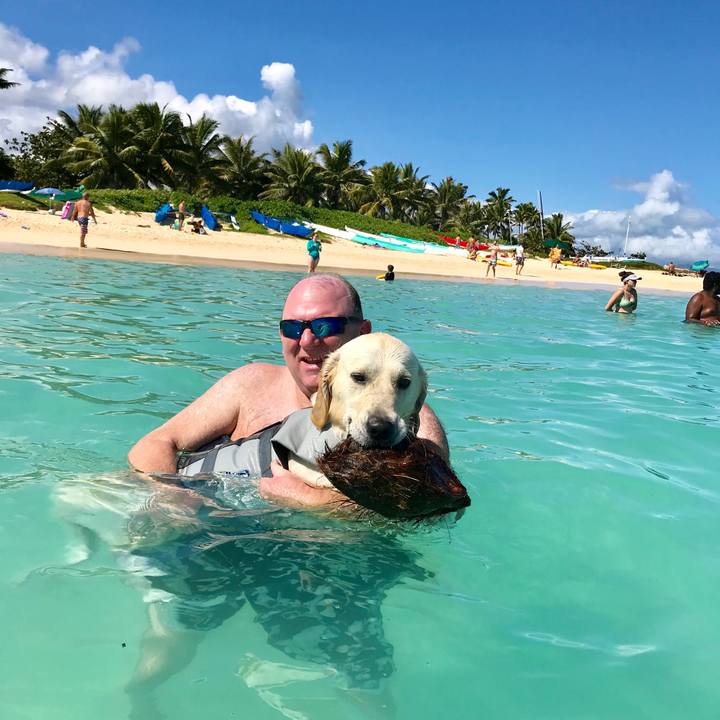 0abab8e8 e467 49dc 8b0b 982ebe44353c 1547372044624