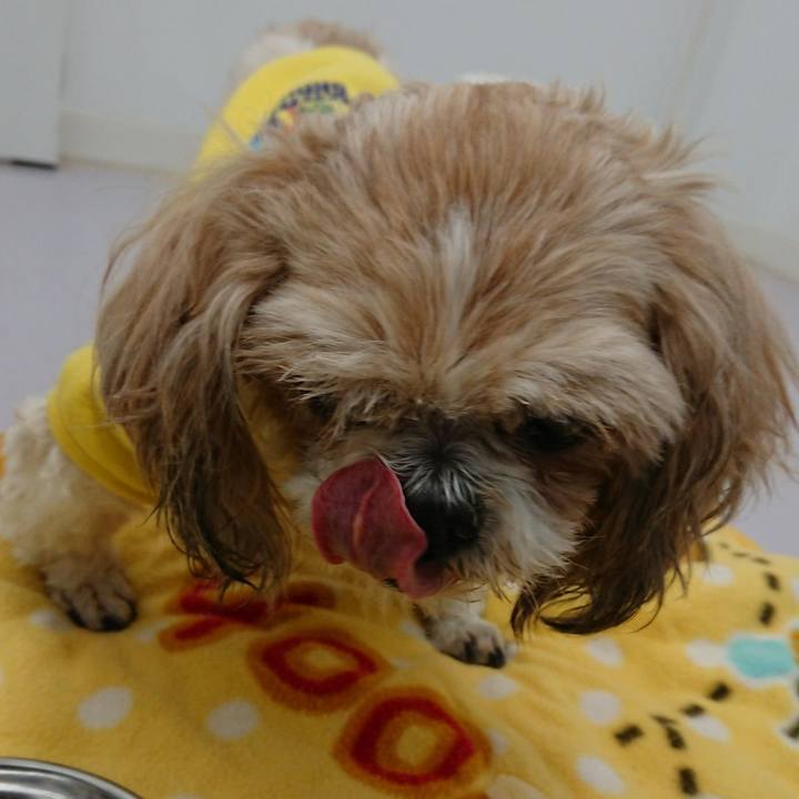 0abad008 8df4 4ce6 8ec3 88d6a5b33436 1551707414922