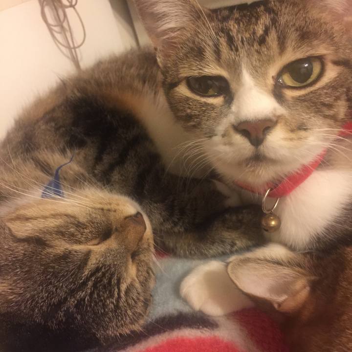 0abaeb42 43cb 46e5 8ac3 378c3bf23c32 1570096284925