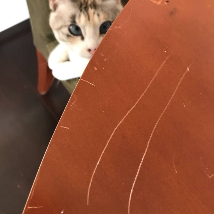 0abaefb3 600f 49f2 9464 9d07f1ed721b 1547205414263