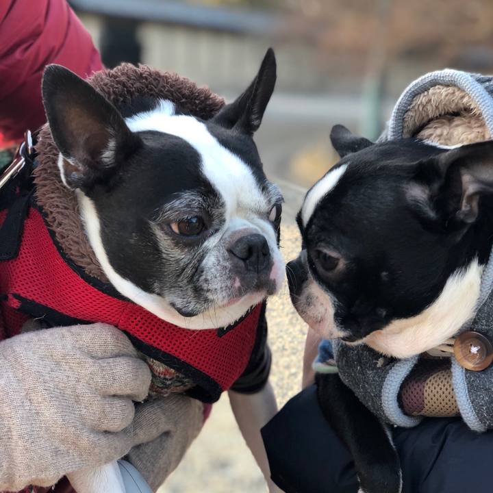 0abba366 f3ab 4c3a bd07 717c38e2958e 1519349331689