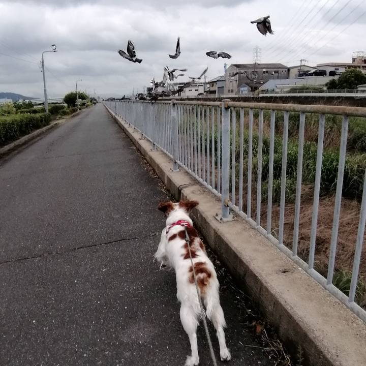 0abbb8c4 da9d 41eb 9919 531f16d2aced 1566548374002